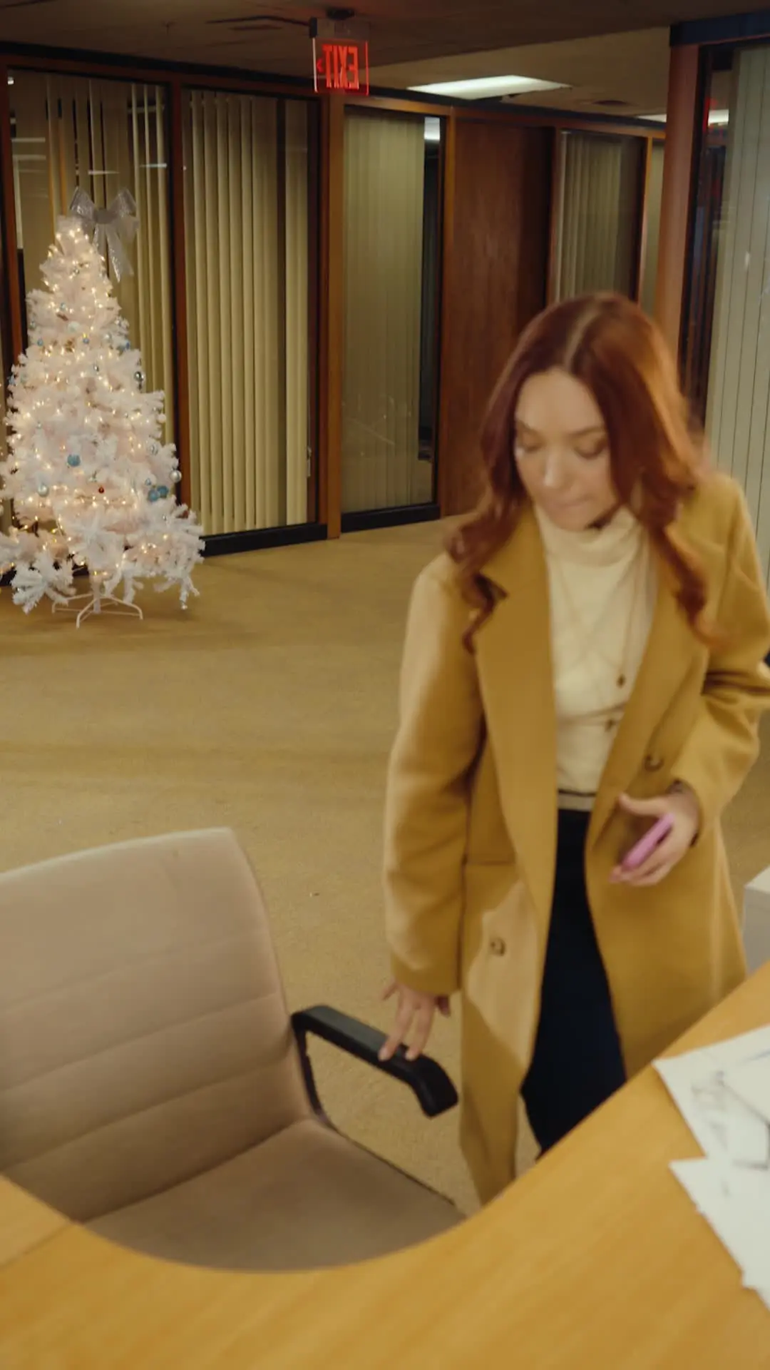 Episode 24 of The Christmas Twin Miracle
