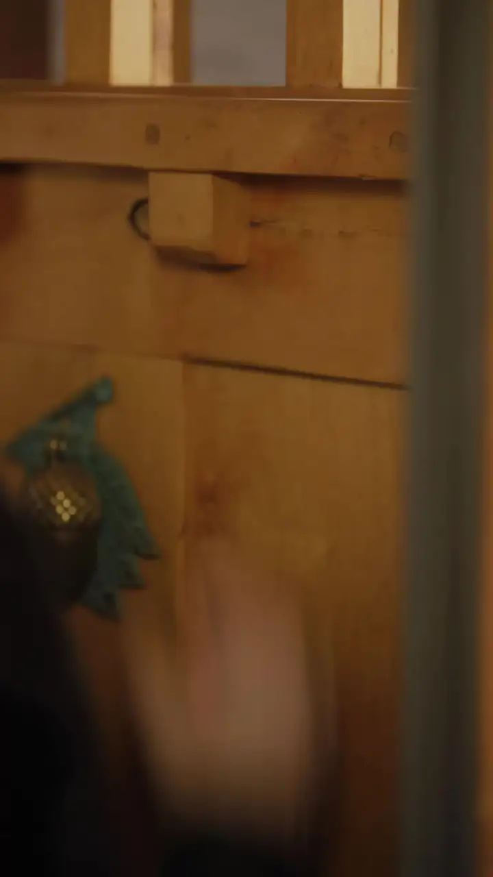 Episode 62 of The Cursed Alpha's Mate