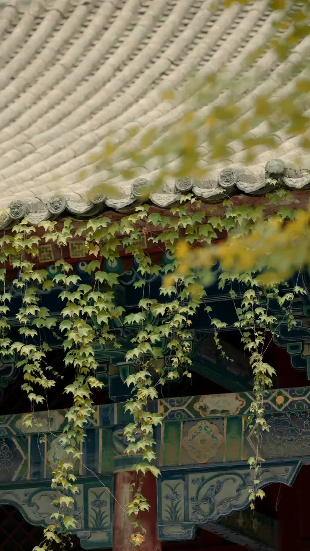 Episode 35 of The Healer’s Secret