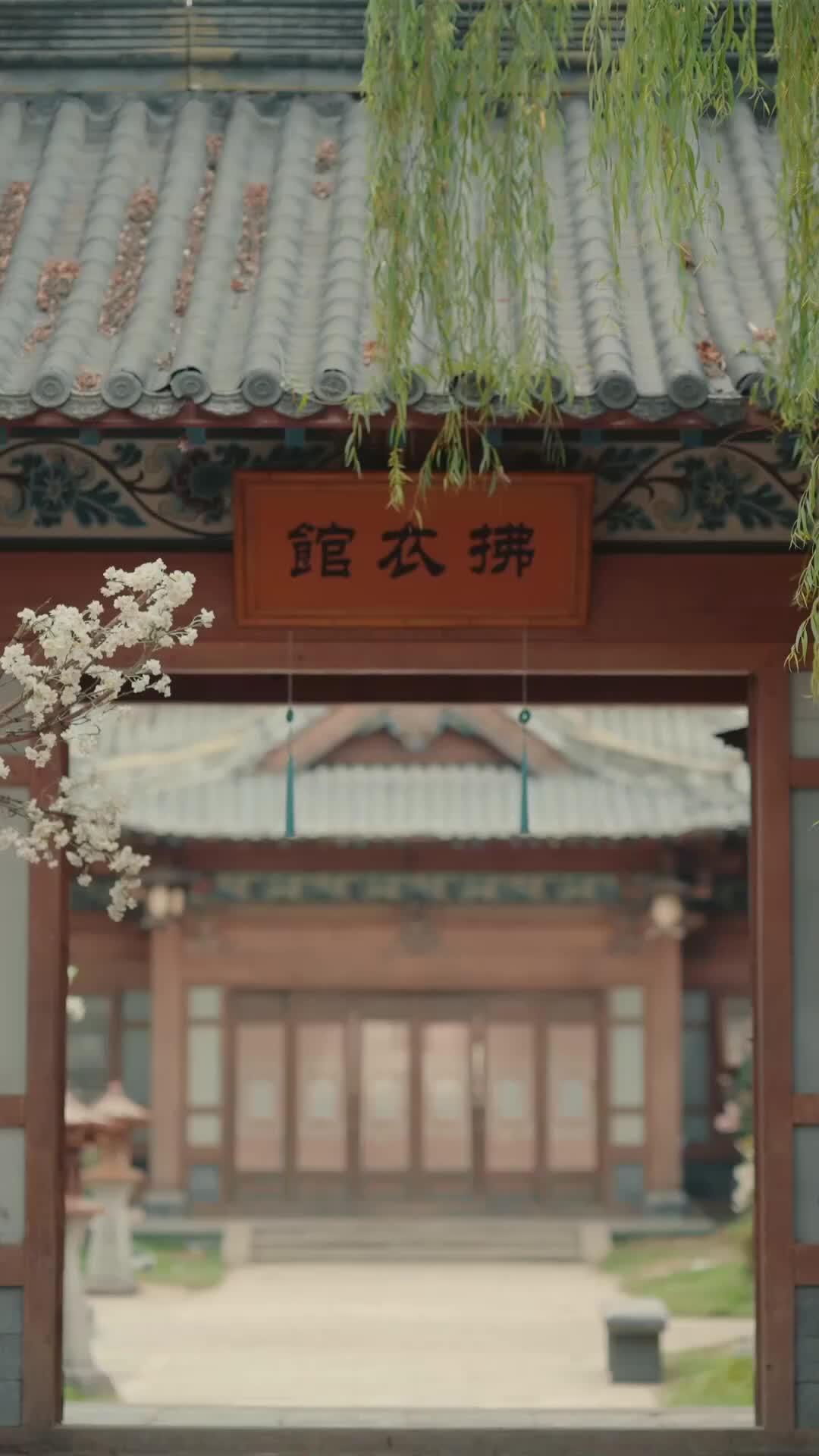 Episode 50 of The Healer’s Secret