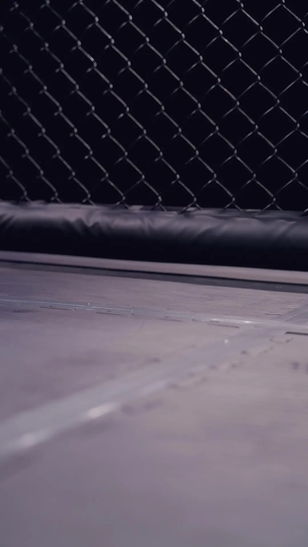 Episode 50 of The Knockout King