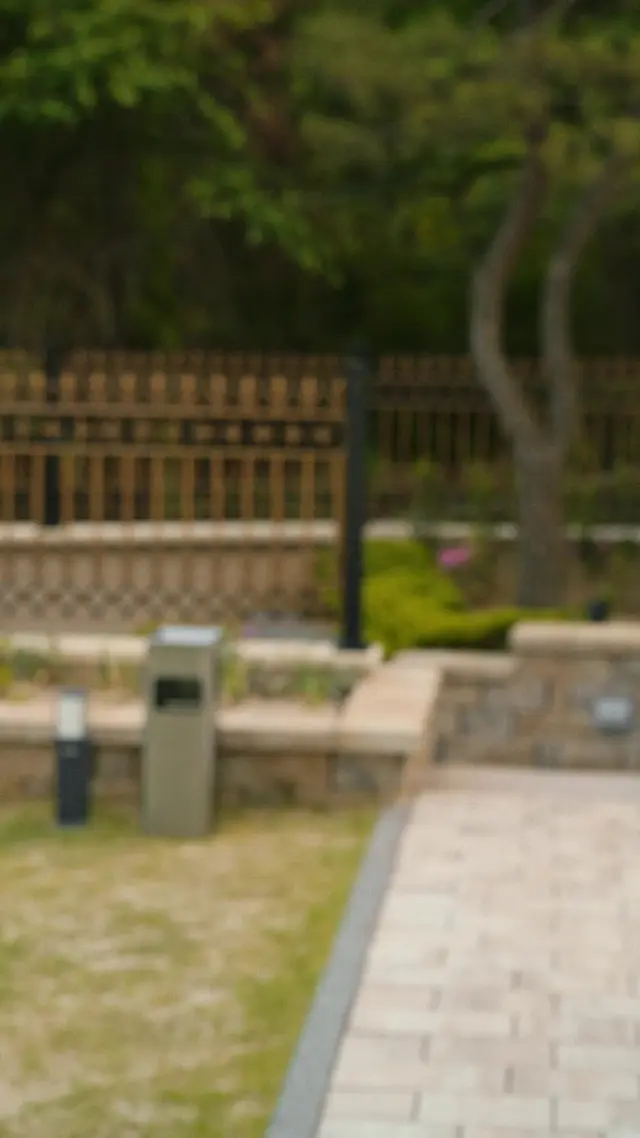 Episode 50 of The Lost Daughter's Silent Cry