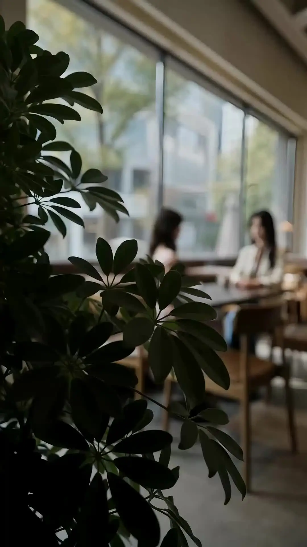 Episode 33 of The Man I Was Meant to Forget