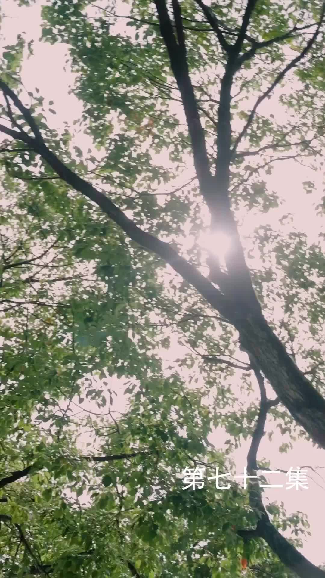 Episode 72 of The Martial Healer's Journey to Love