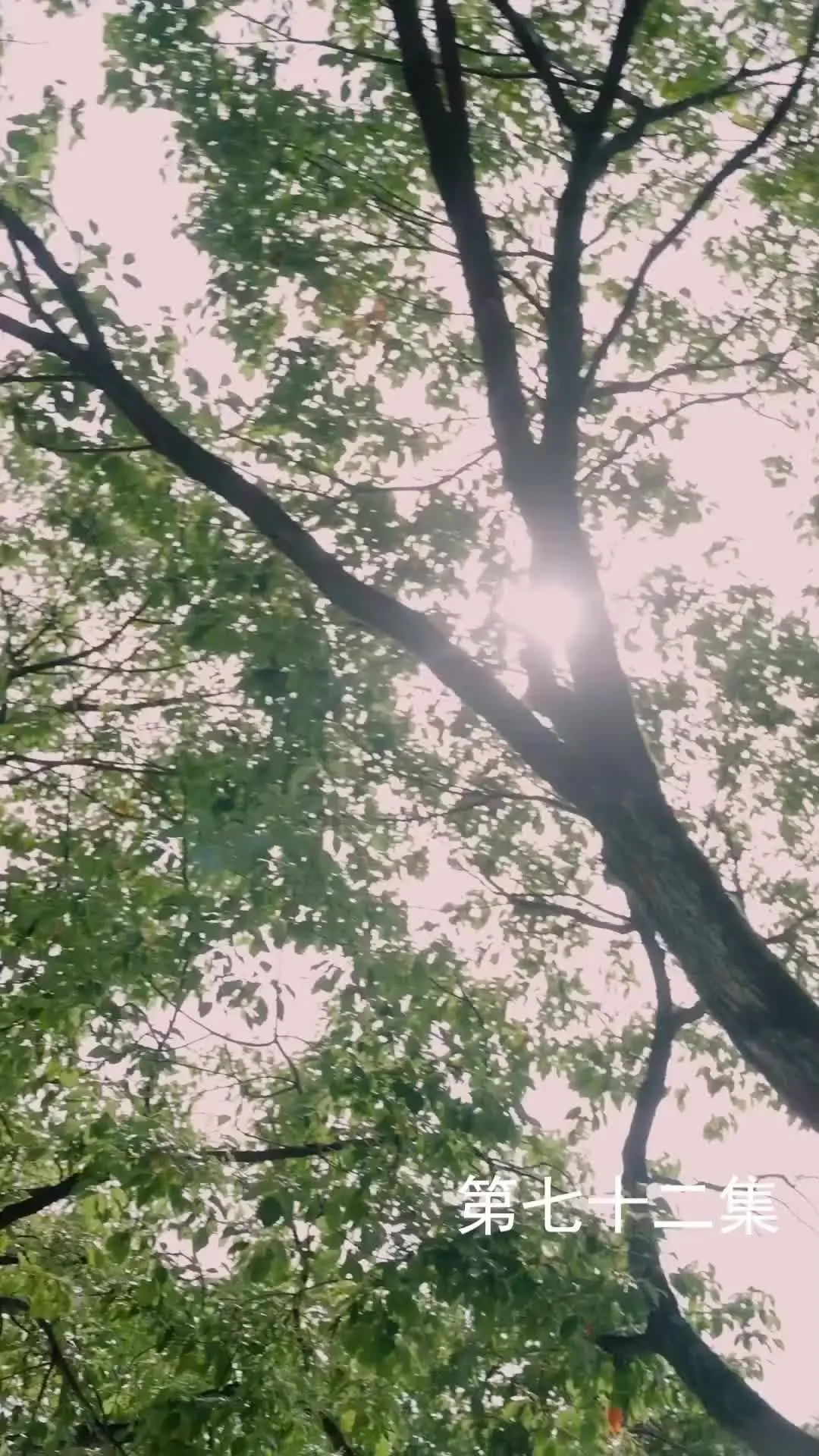 Episode 72 of The Martial Healer's Journey to Love