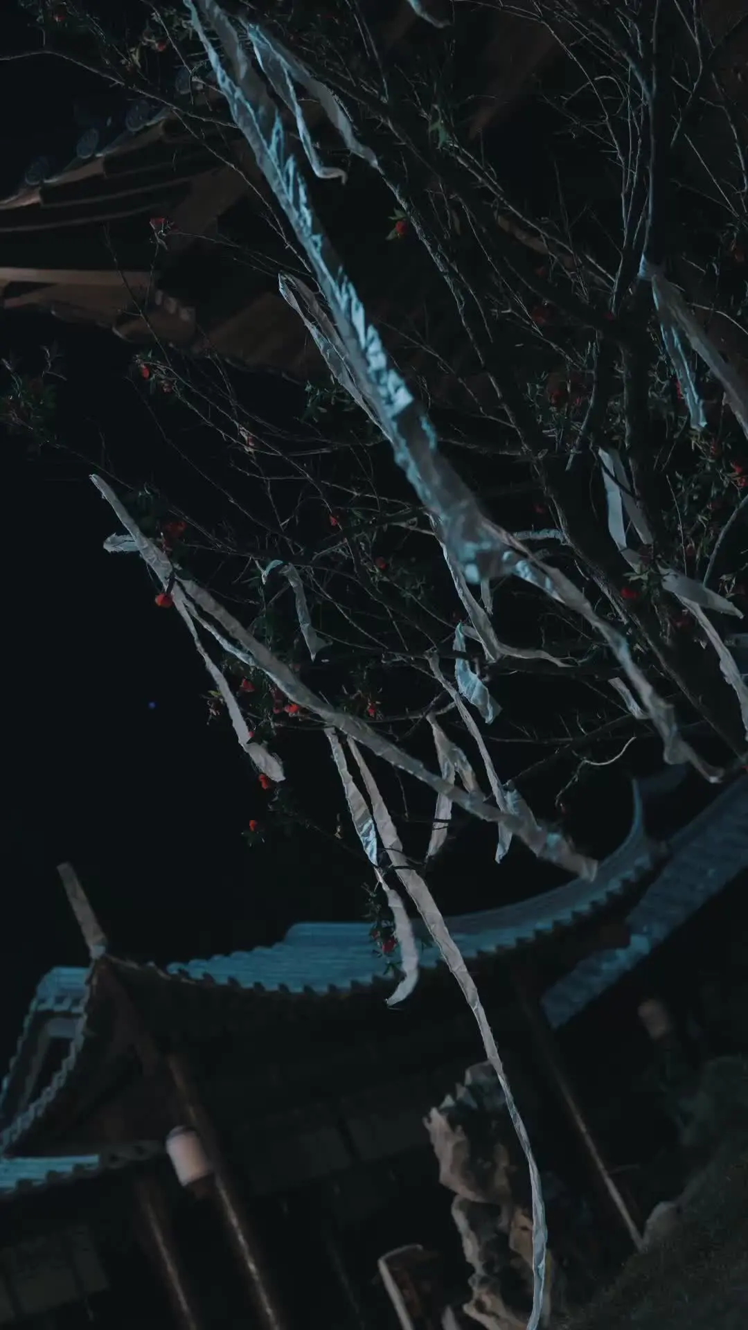 Episode 10 of The Mystic Healer Who Rules the Realm