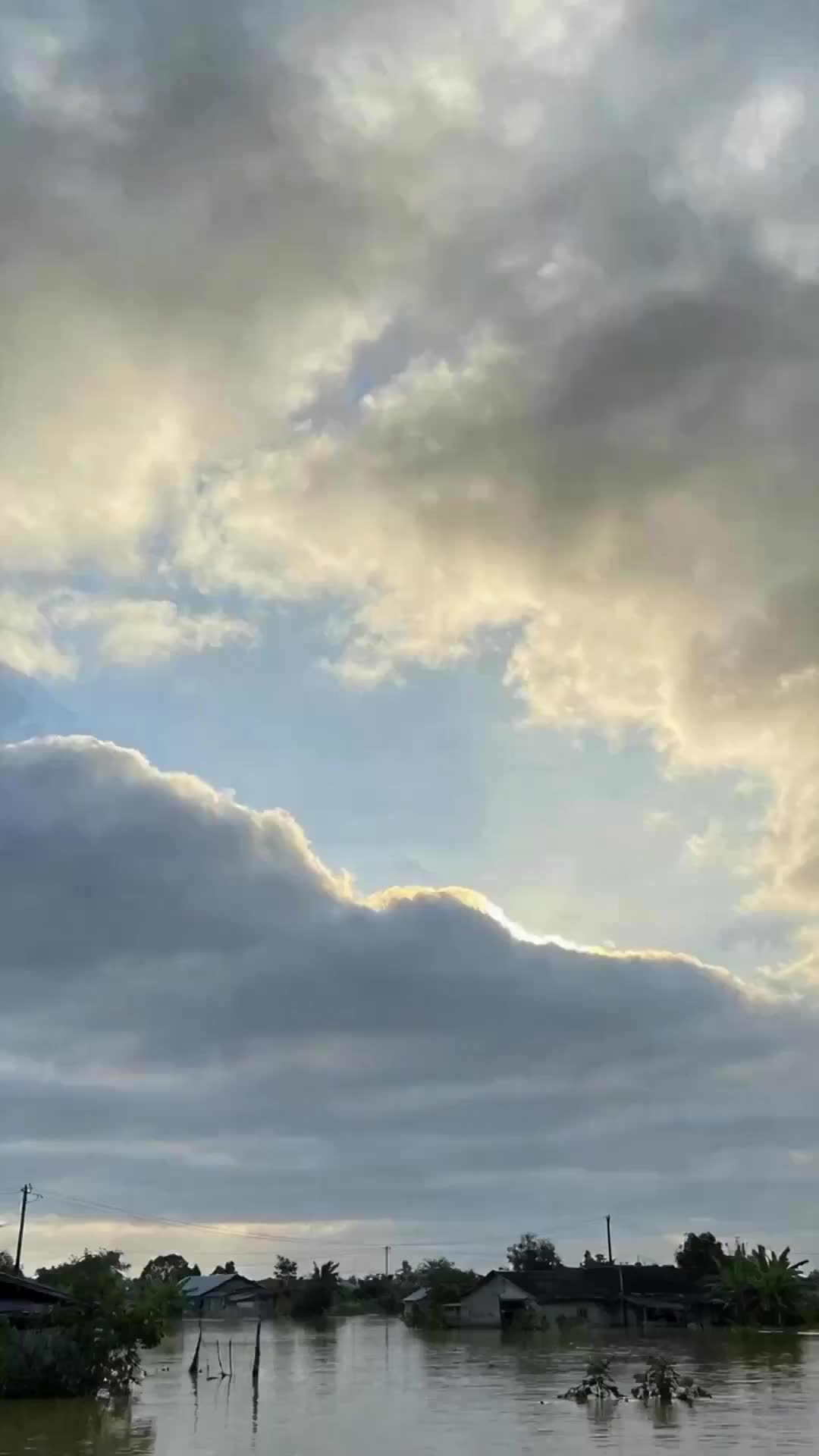 Episode 26 of The Pigsty Ark: Reborn Before the Rain