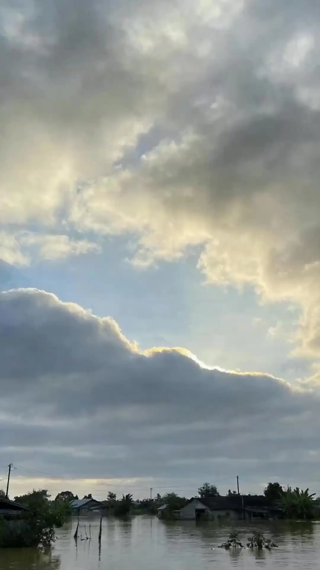 Episode 26 of The Pigsty Ark: Reborn Before the Rain