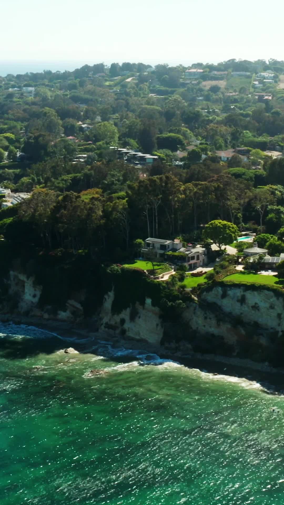 Episode 8 of The Queen Bee Strikes Back