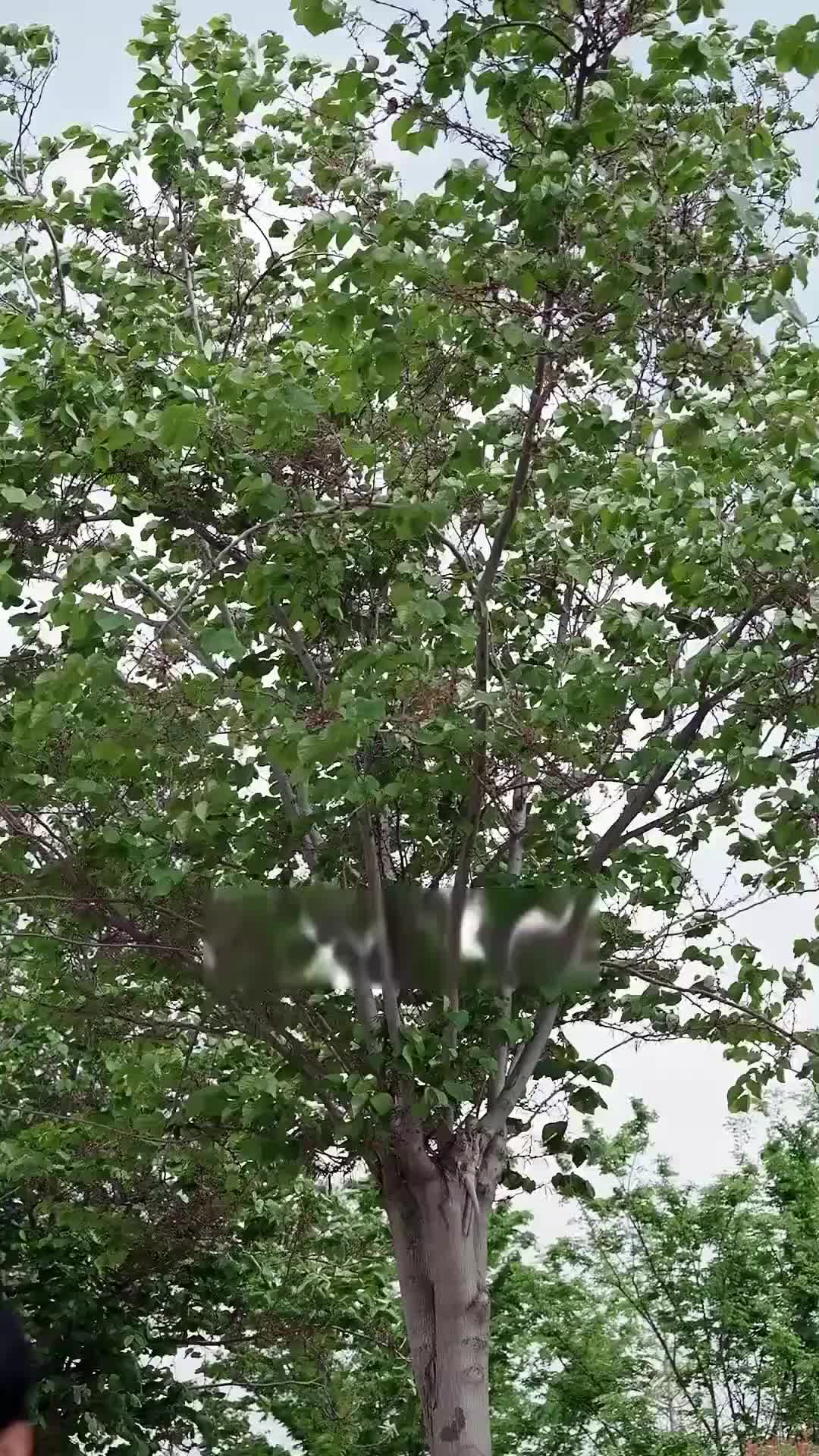 Episode 1 of The Return of the Beggar: Starting from Being Picked Up by a Beauty