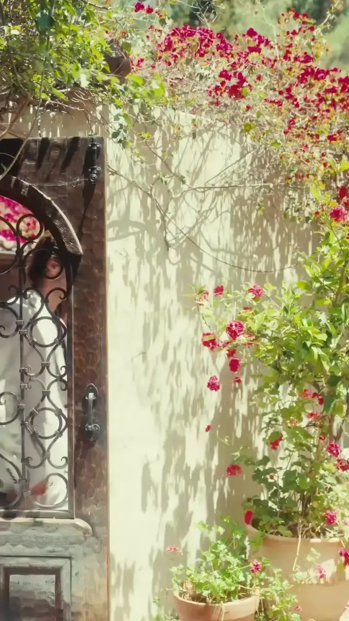 Episode 5 of The Secret Recipe to Snatch a Billionaire