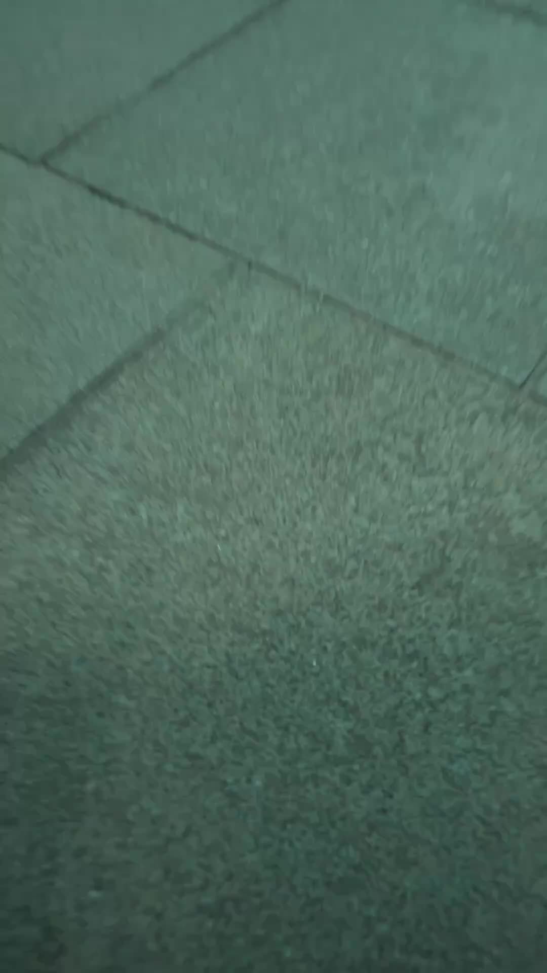 Episode 2 of The Strongest Bodyguard