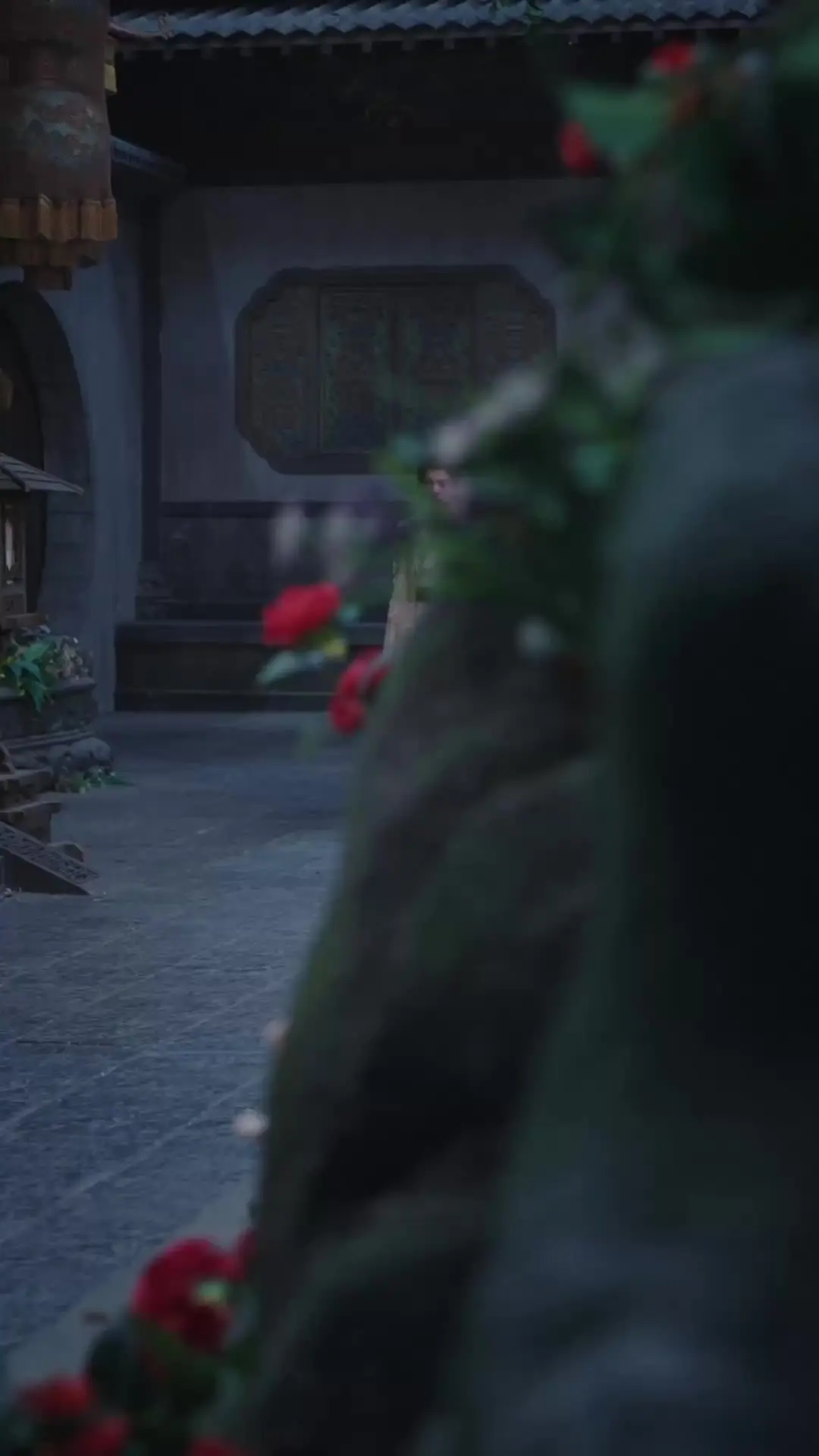 Episode 9 of The Swordsman's Rise