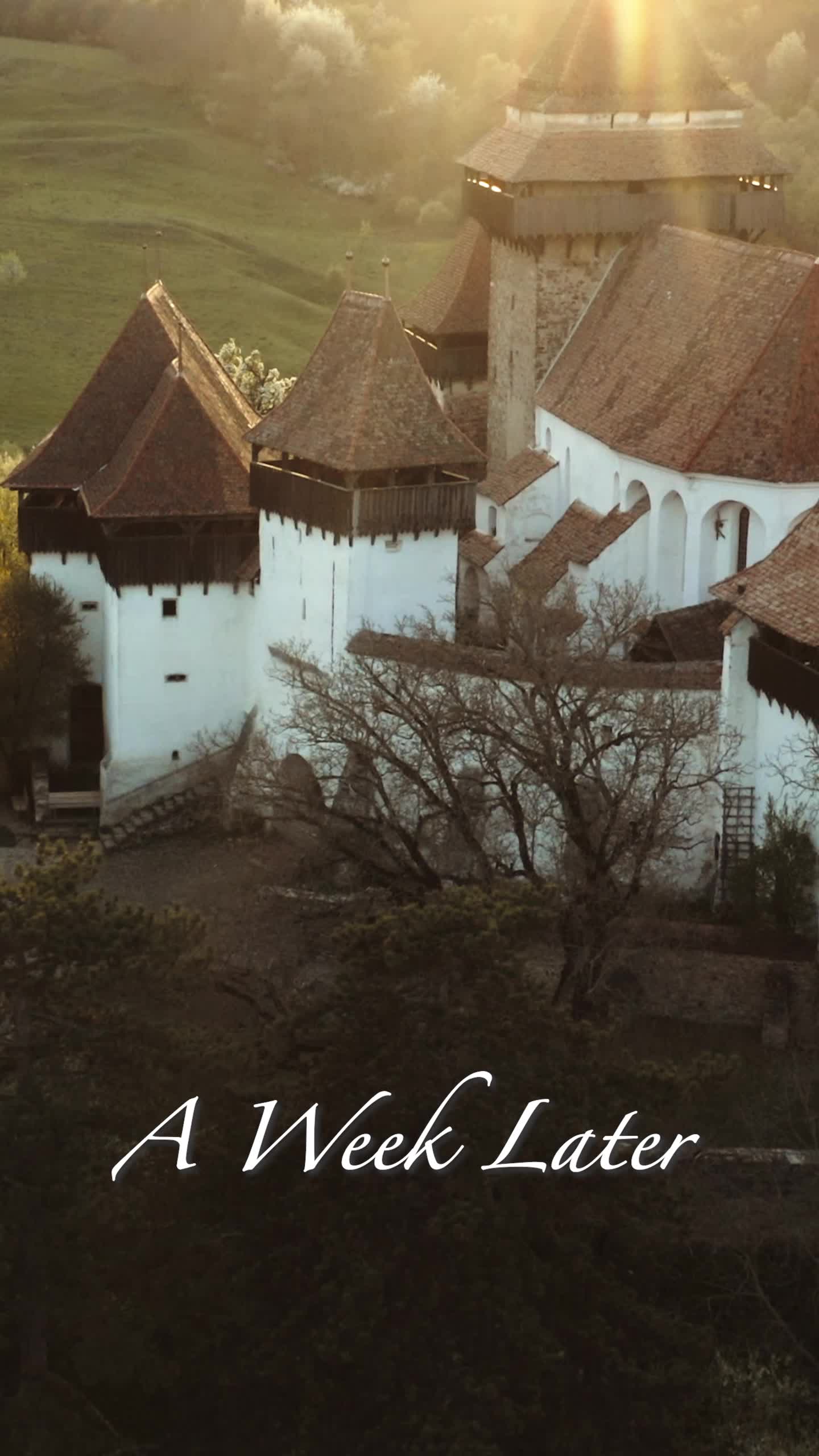 Episode 15 of The Vampire Prince's Bride