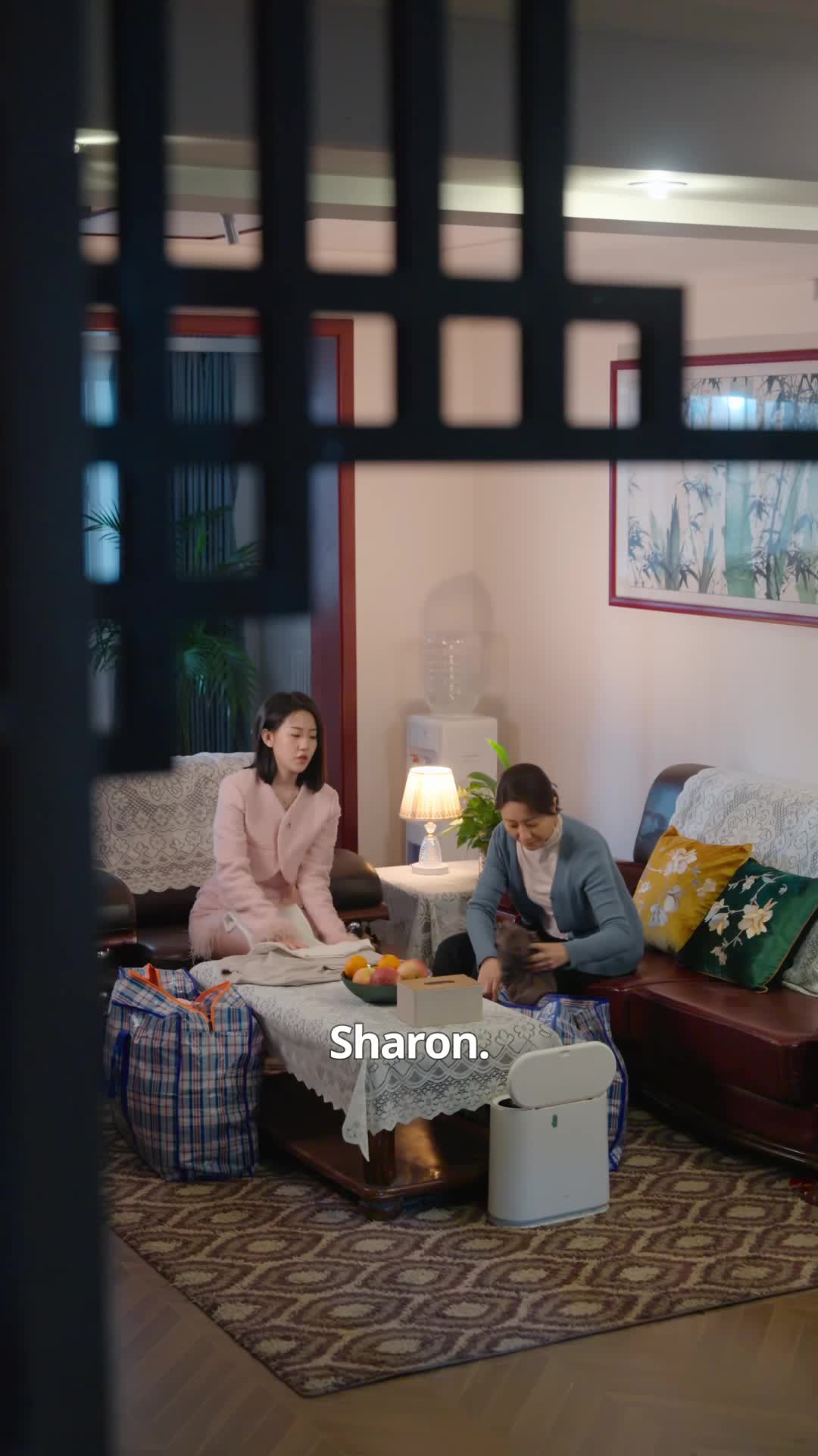Episode 13 of The Wife Isn't Me!