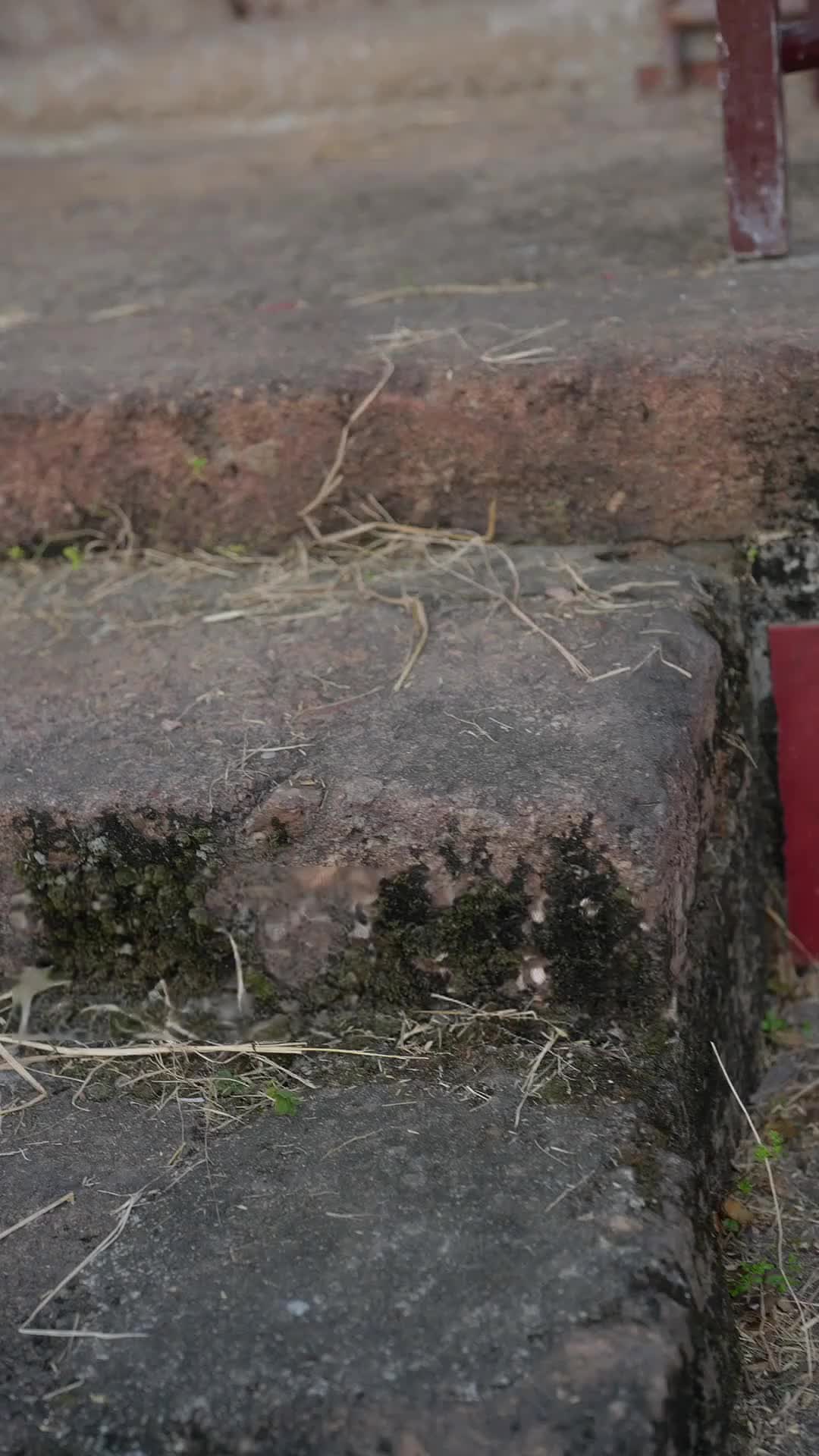 Episode 42 of The Woman in the Historic Manor