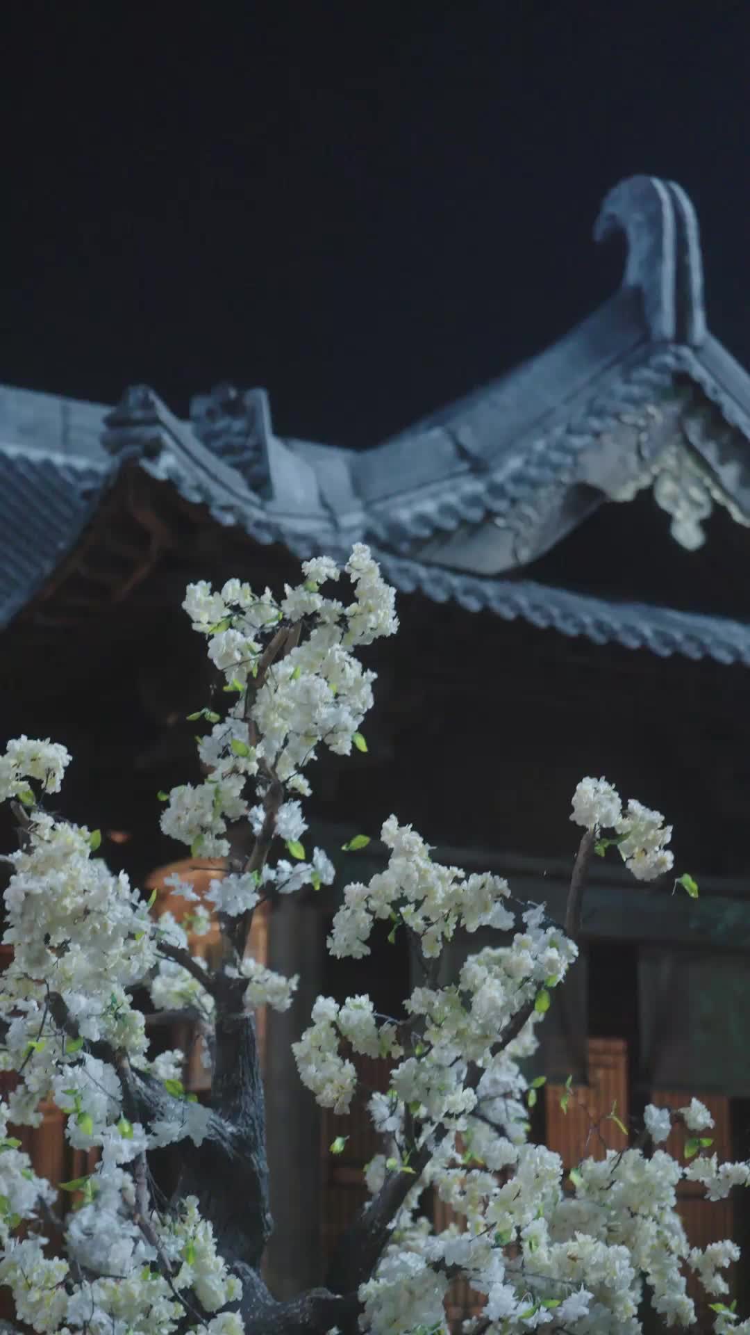 Episode 36 of They Pushed Me to Be Empress