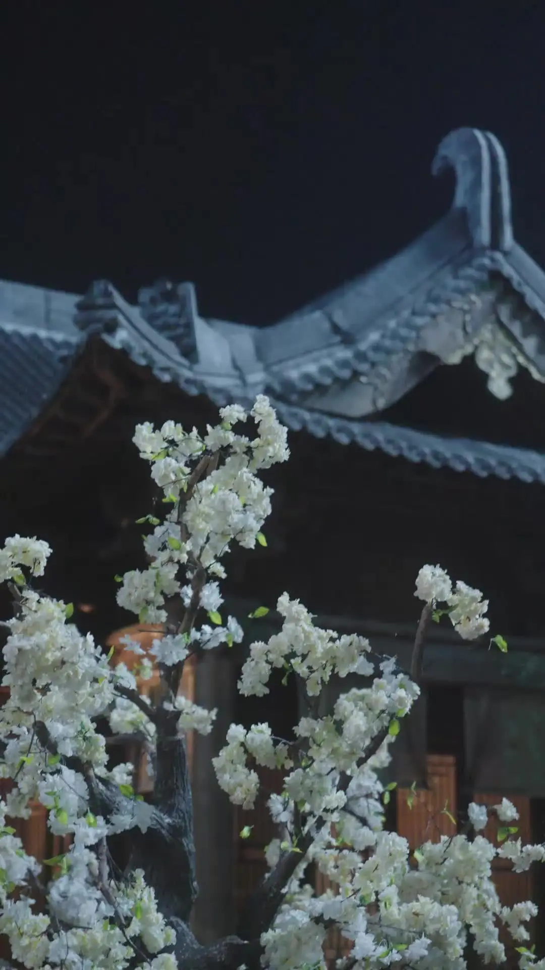 Episode 36 of They Pushed Me to Be Empress