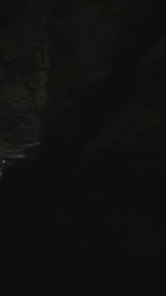 Episode 50 of This Girl Is a Martial Master