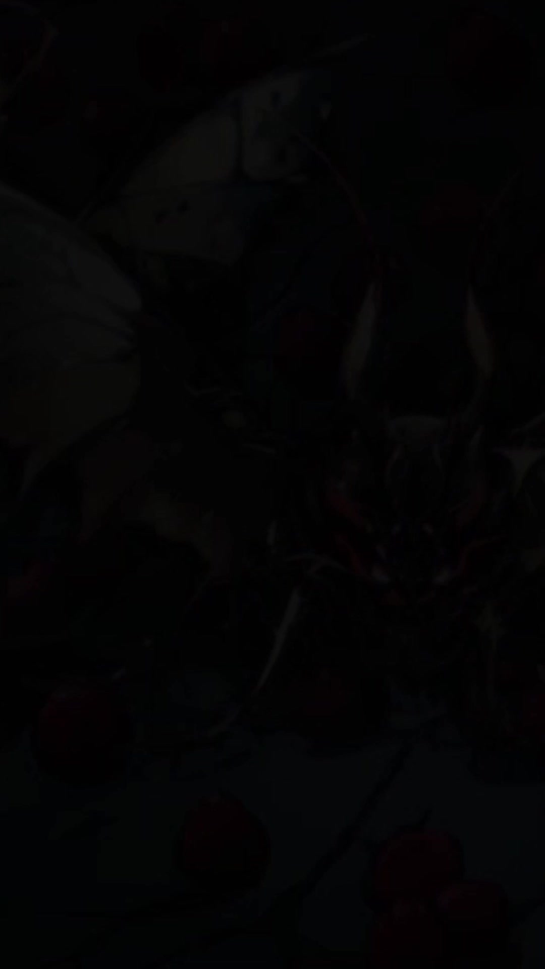 Episode 30 of Throne of Sacrifice