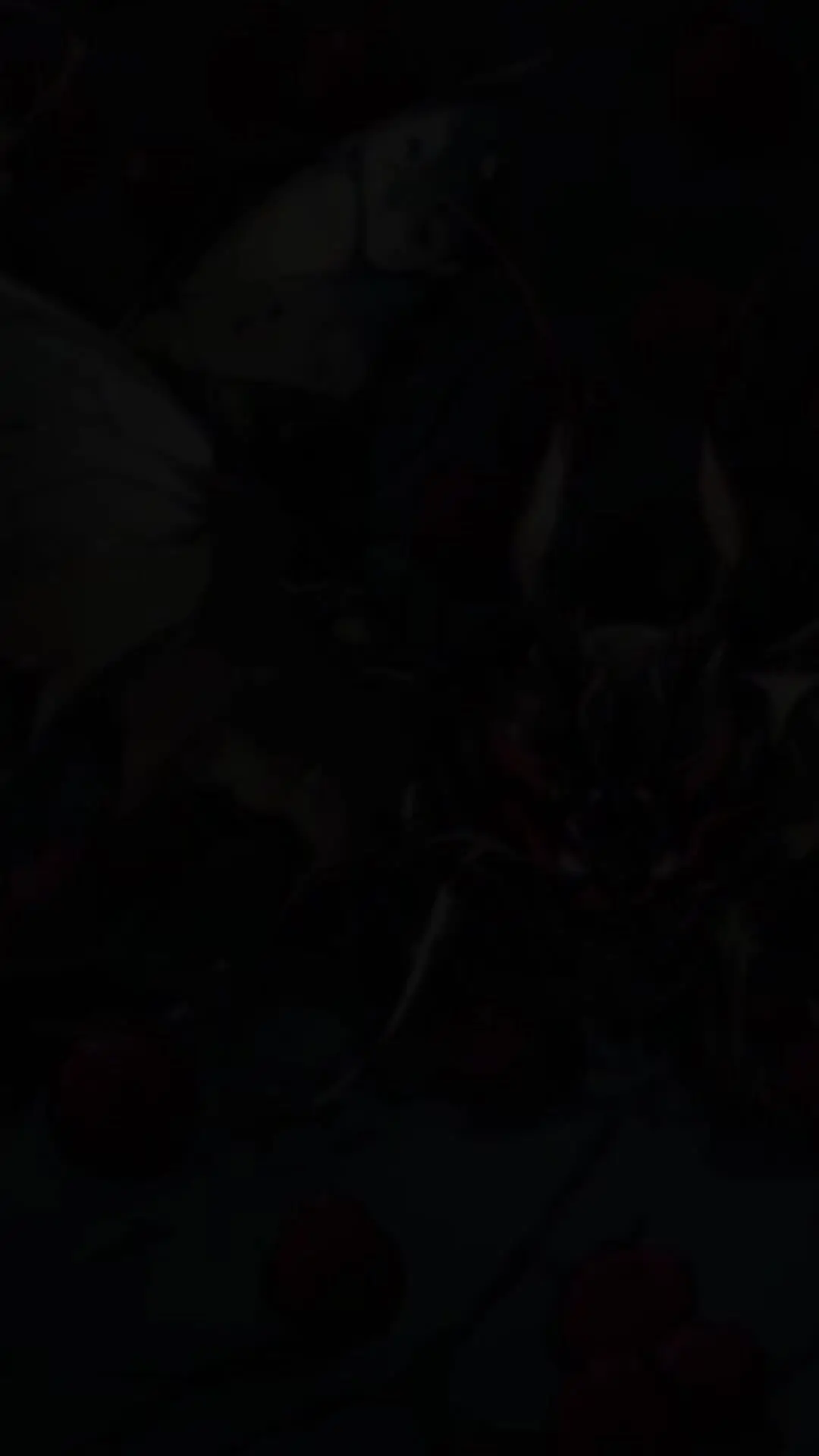 Episode 30 of Throne of Sacrifice