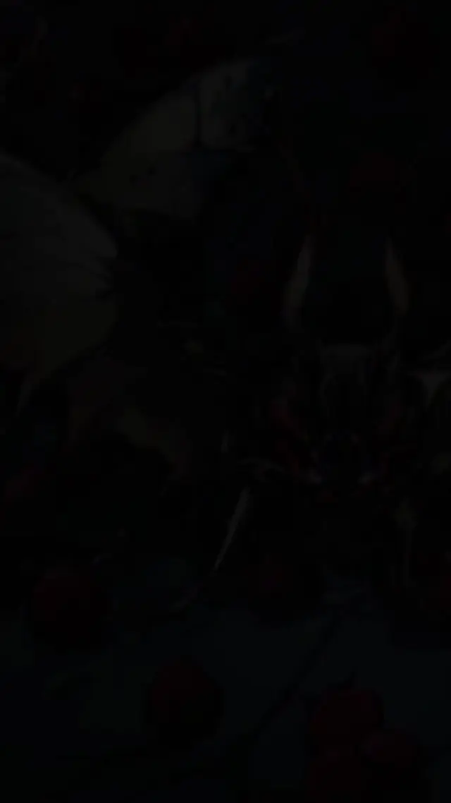 Episode 30 of Throne of Sacrifice