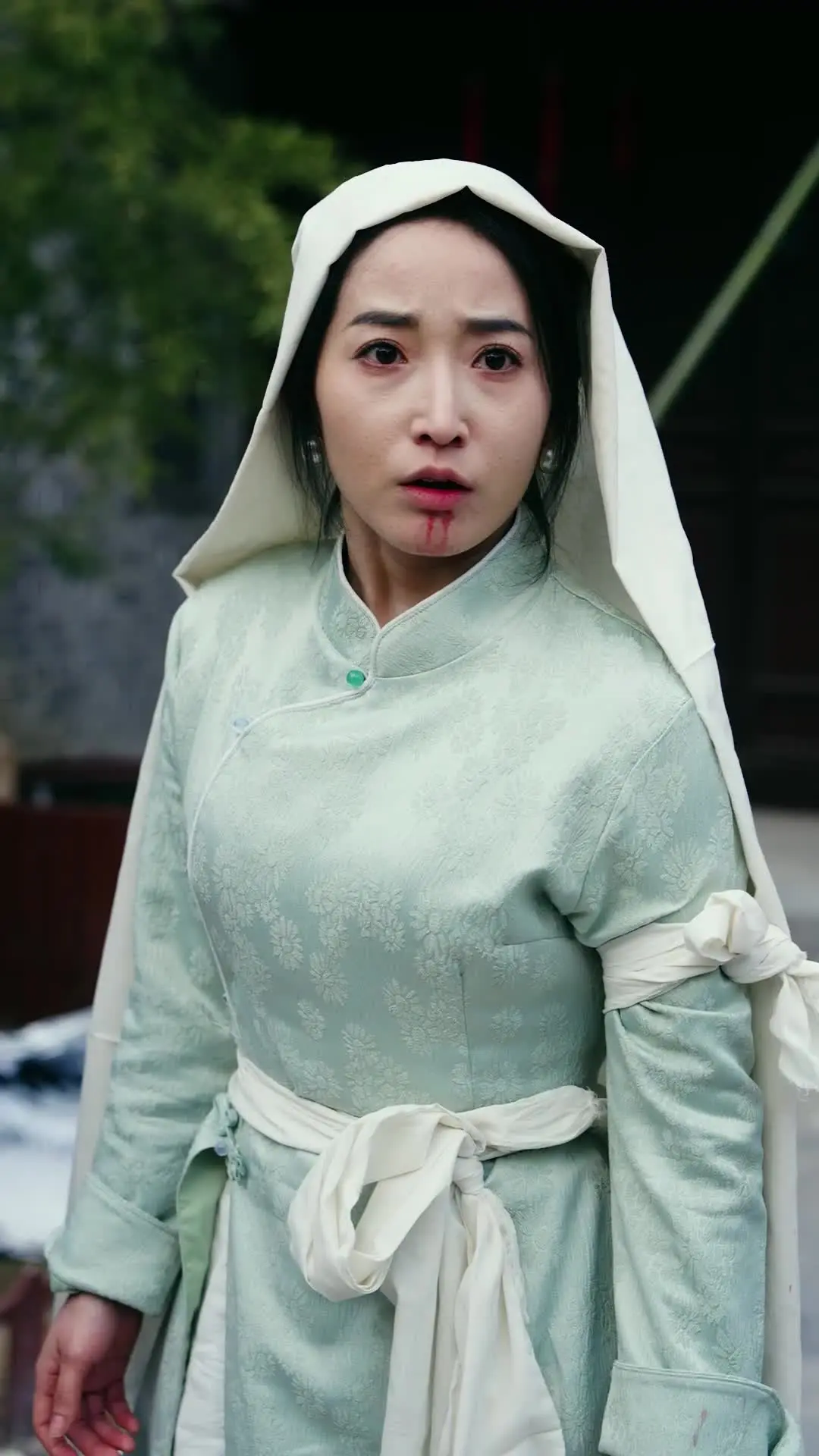 Episode 10 of Vengeance, the Master's Death