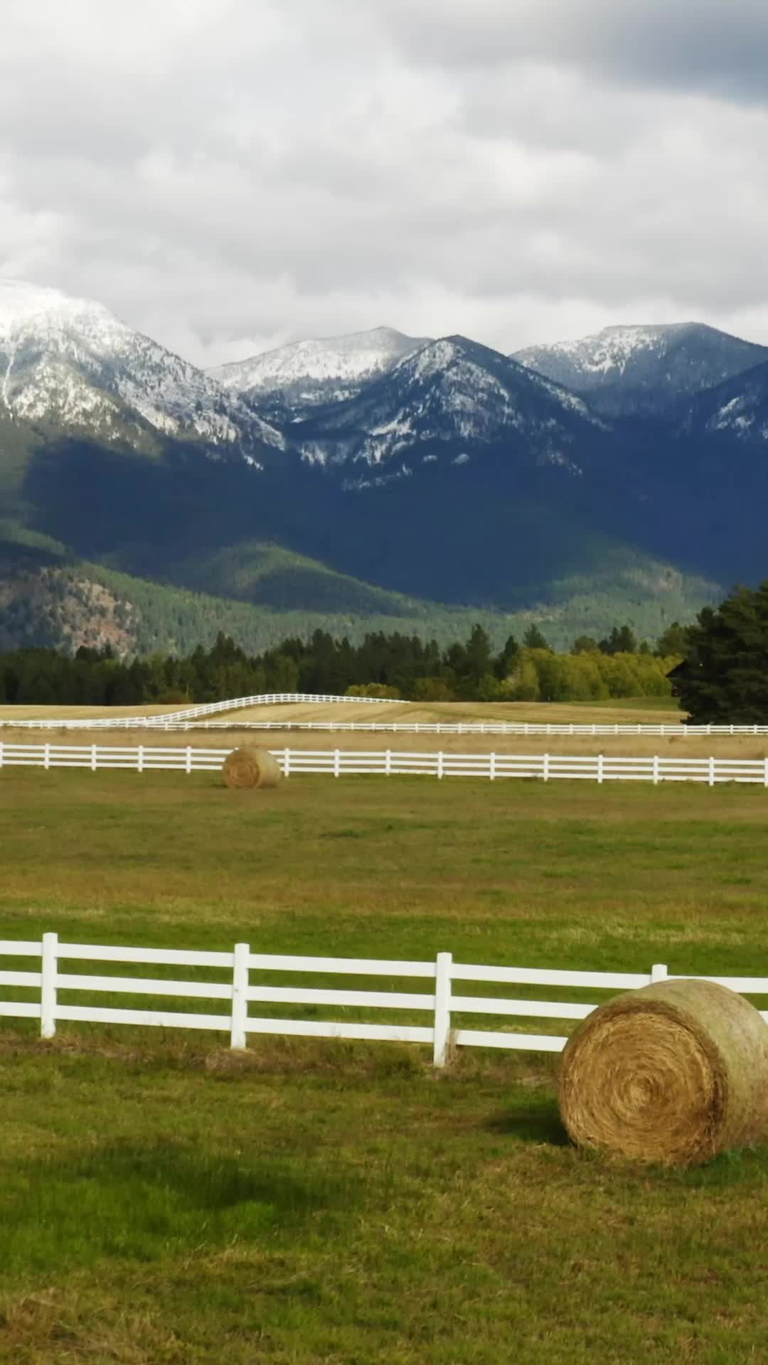 Episode 1 of Yellowstone: King of Montana