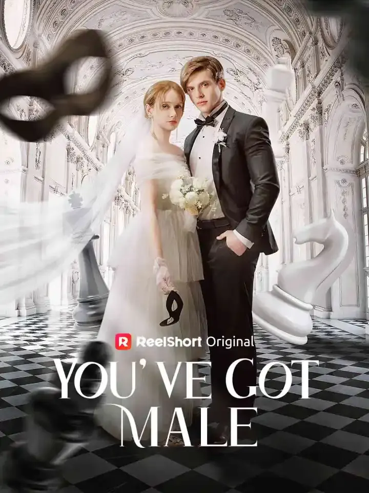 Cover of the miniseries You've Got Male