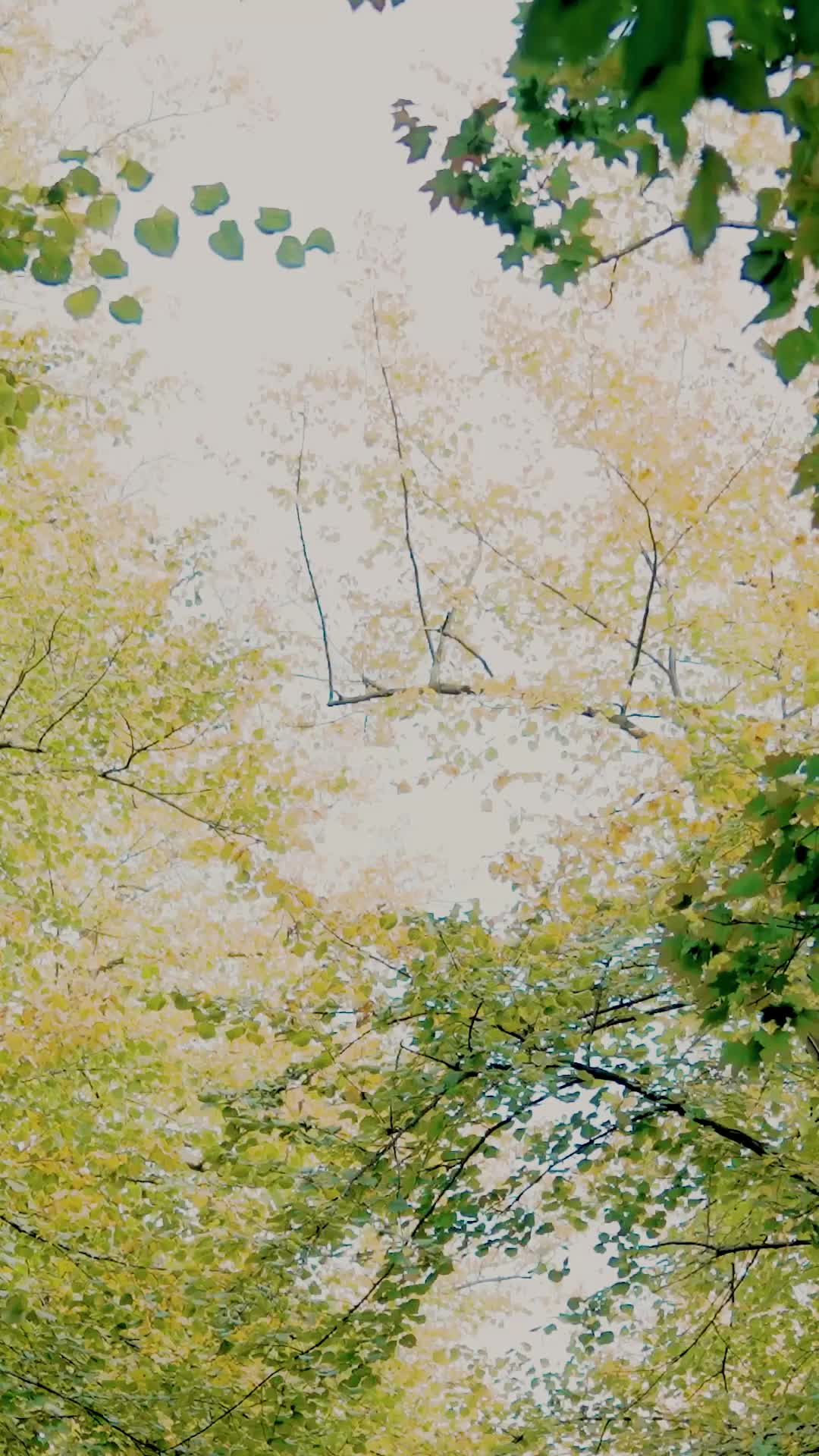 Episode 38 of Your Love Broke My Heart