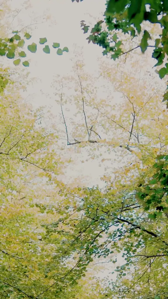 Episode 38 of Your Love Broke My Heart